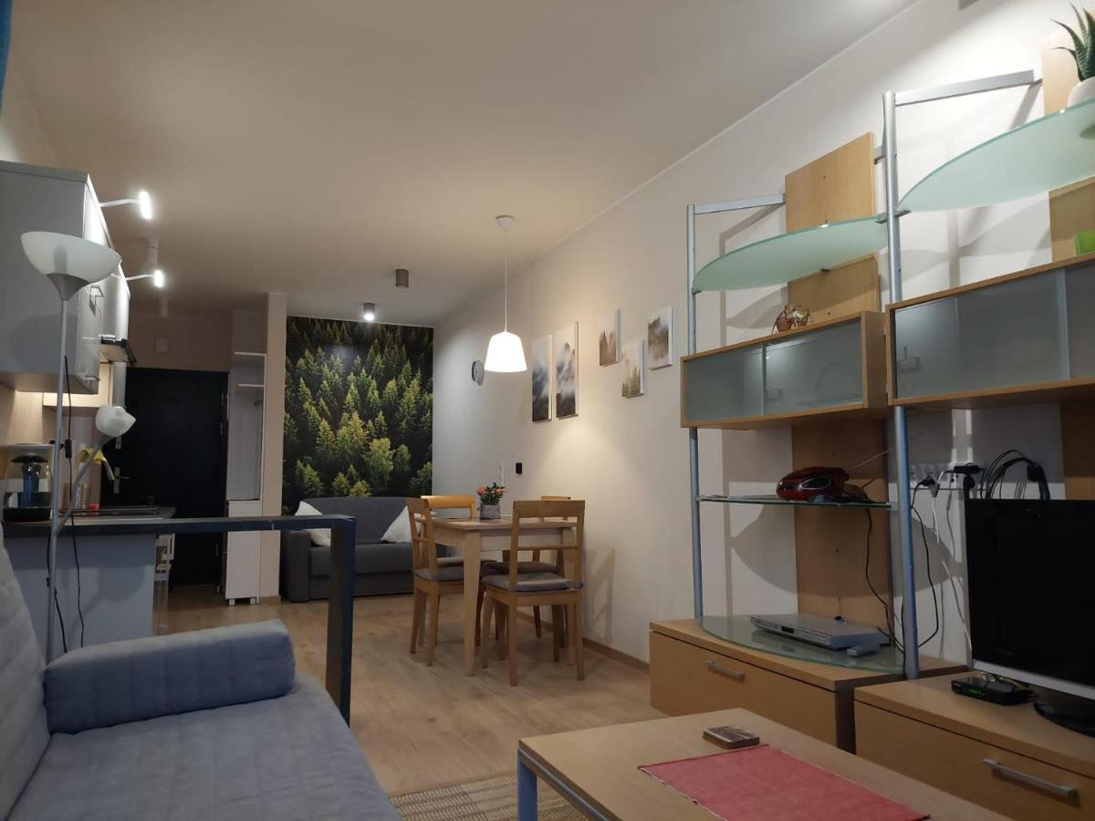 Apartament Pod Gora Szyndzielnia , Debowiec Bílsko-Bělá Exteriér fotografie